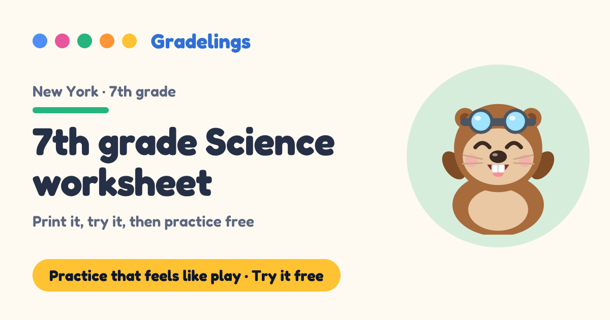Free printable 7th grade Science practice sheet (New York)